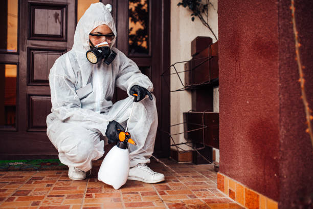 Reliable Wasp Removal contractor in Pleasant Grove, UT by Show Me Pest Control